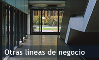 Otras líneas de negocio